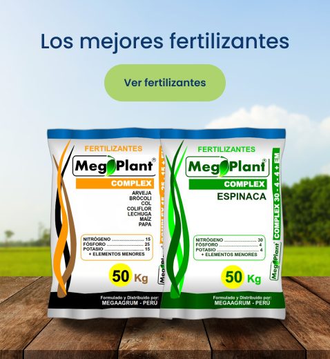 Fertilizantes